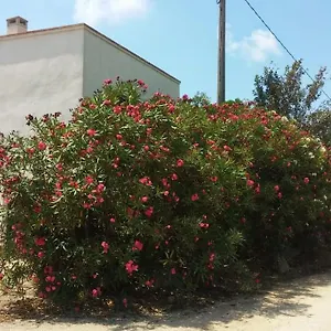 Pequena En El Centro Del Delta Del Ebro Сasa de vacaciones Amposta